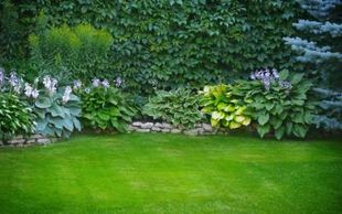 L'entretien des jardins